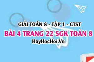 Giải bài 4 trang 22 Toán 8 Tập 1 SGK Chân trời sáng tạo